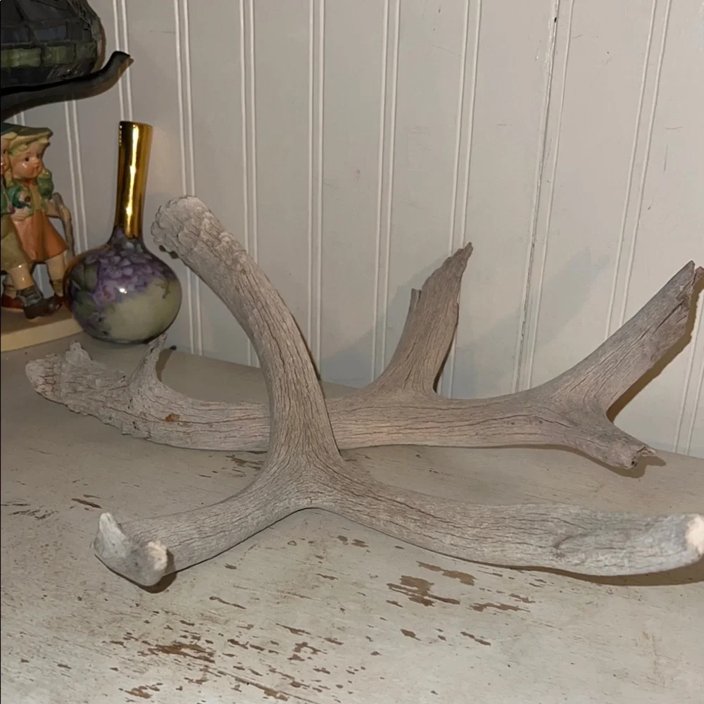 2 Rustic Gray deer Antler Decor
